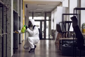 Commercial-Mold-Removal